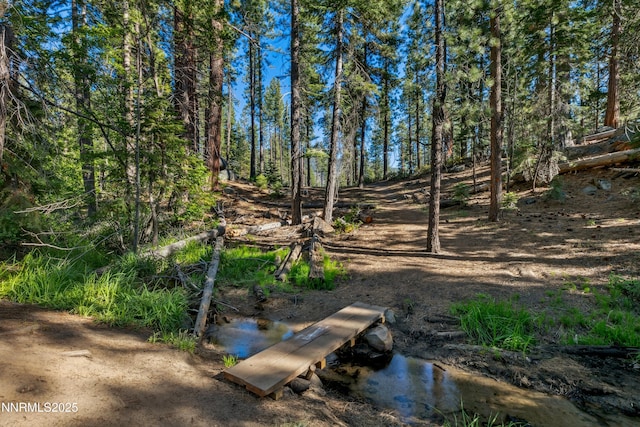 299 Chimney Rock Rd, Stateline, NV 89449 - view of yard