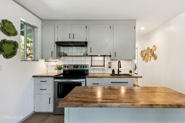 299 Chimney Rock Rd, Stateline, NV 89449 - kitchen featuring stainless steel electric range oven, under cabinet range hood, decorative backsplash, dark wood finished floors, and recessed lighting