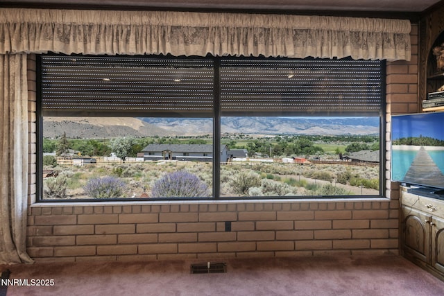 1650 S Deer Run Rd, Carson City, NV 89701 - photo 18
