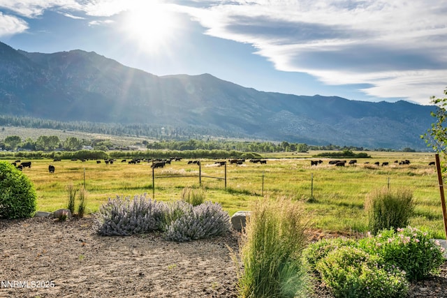 600 Artemesia Ln, Gardnerville, NV 89460 - mountain view featuring rural landscape
