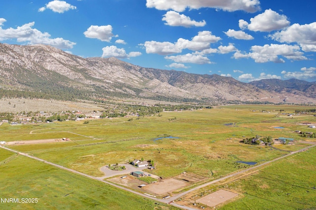 600 Artemesia Ln, Gardnerville, NV 89460 - mountain view with rural landscape