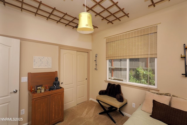 590 Secretariat Ct, Reno, NV 89521 - photo 19