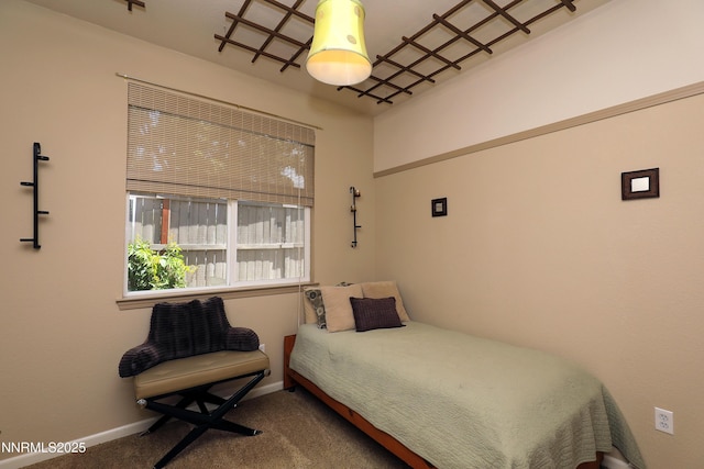 590 Secretariat Ct, Reno, NV 89521 - photo 18