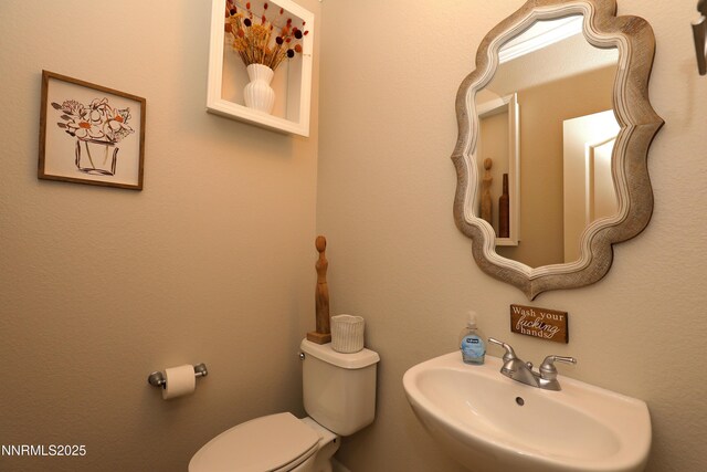 590 Secretariat Ct, Reno, NV 89521 - photo 11