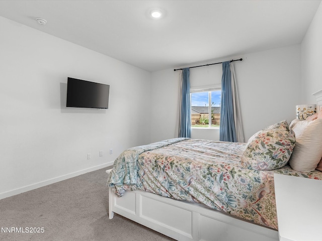 706 Ruby Valley Ct, Dayton, NV 89403 - photo 24