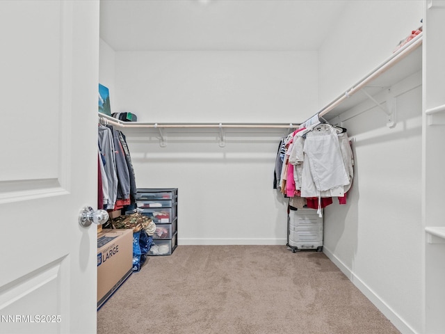 706 Ruby Valley Ct, Dayton, NV 89403 - photo 29