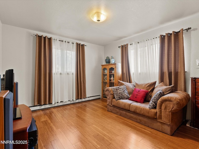 139 Rosewood Cir, Stateline, NV 89449 - living area featuring a baseboard radiator, plenty of natural light, and light wood-style floors