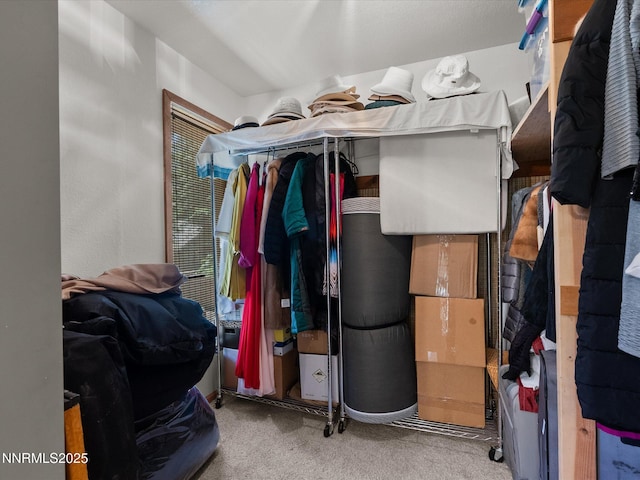 139 Rosewood Cir, Stateline, NV 89449 - spacious closet with carpet