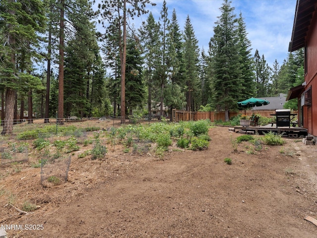 139 Rosewood Cir, Stateline, NV 89449 - view of yard