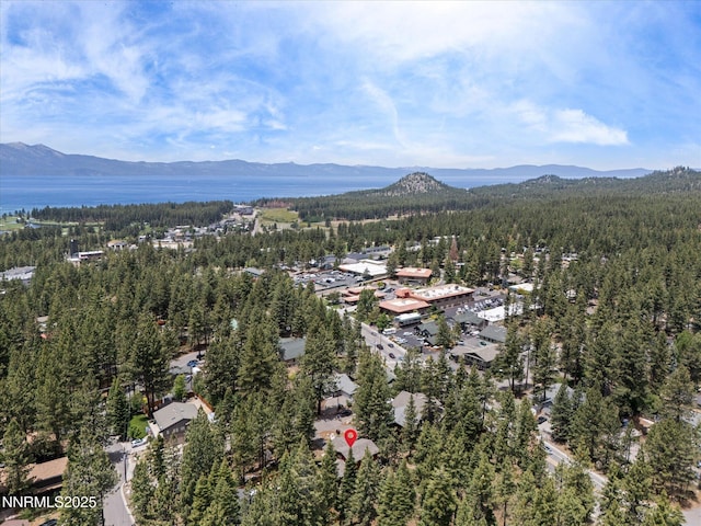 139 Rosewood Cir, Stateline, NV 89449 - view of mountain backdrop with a heavily wooded area