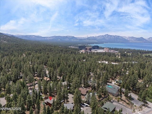 139 Rosewood Cir, Stateline, NV 89449 - aerial view of property's location featuring a heavily wooded area and a water and mountain view
