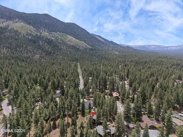 139 Rosewood Cir, Stateline, NV 89449 - aerial view of property's location with a mountainous background
