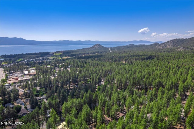 170 Pine Dr, Stateline, NV 89449 - photo 24