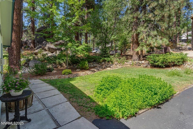170 Pine Dr, Stateline, NV 89449 - photo 38