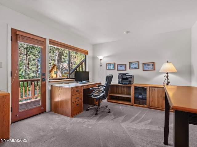 622 Freel Dr, Zephyr Cove, NV 89448 - photo 10