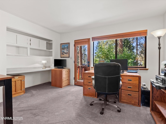 622 Freel Dr, Zephyr Cove, NV 89448 - photo 11