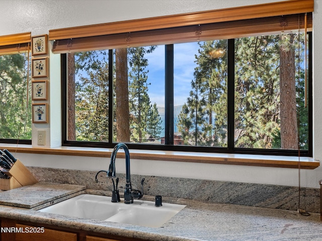 622 Freel Dr, Zephyr Cove, NV 89448 - photo 23