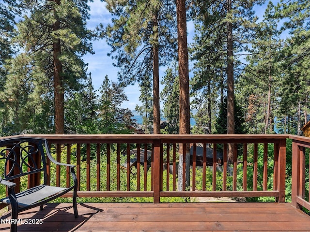 622 Freel Dr, Zephyr Cove, NV 89448 - photo 33
