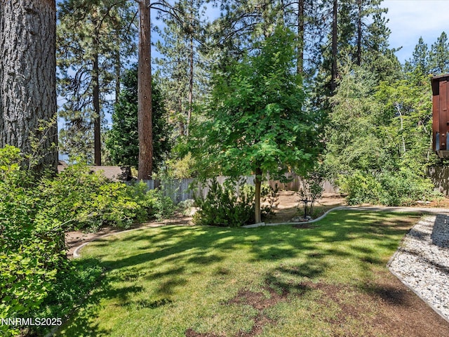 622 Freel Dr, Zephyr Cove, NV 89448 - photo 49