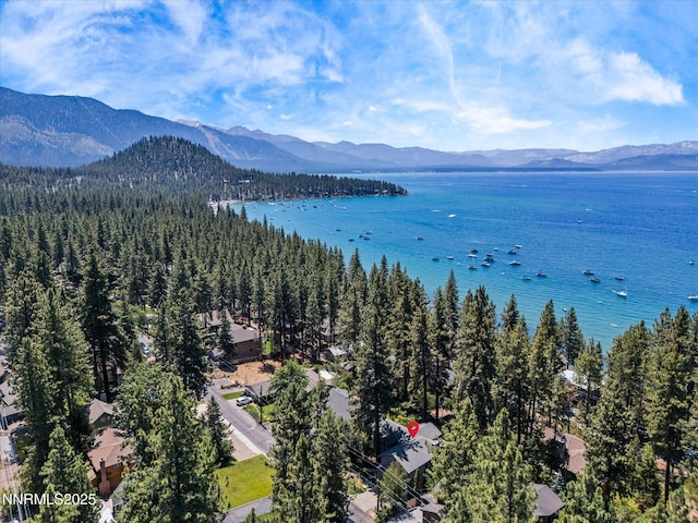 622 Freel Dr, Zephyr Cove, NV 89448 - photo 56