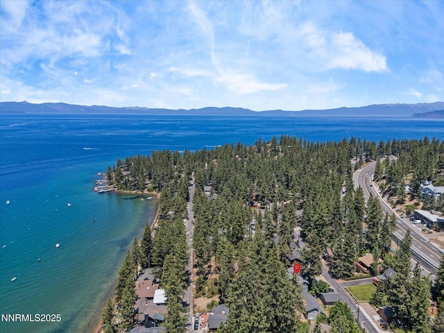 622 Freel Dr, Zephyr Cove, NV 89448 - photo 58