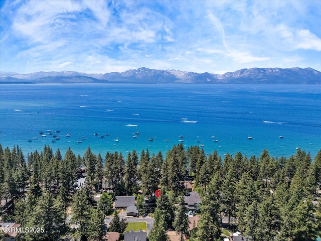 622 Freel Dr, Zephyr Cove, NV 89448 - photo 60