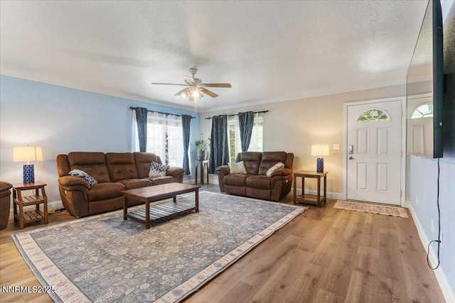 18324 Dustin Ct, Reno, NV 89508 - living area with light wood finished floors, a ceiling fan, ornamental molding, and a textured ceiling
