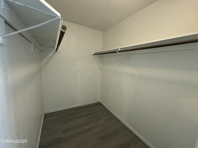 4440 Debra Ln, Winnemucca, NV 89445 - walk in closet with dark wood-style flooring