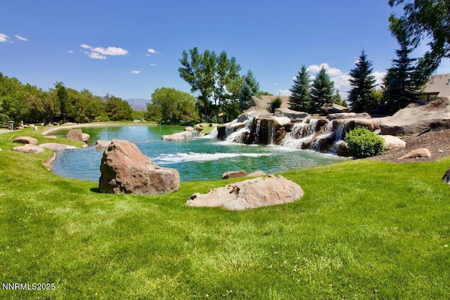 323 Genoa Springs Dr, Genoa, NV 89411 - photo 32