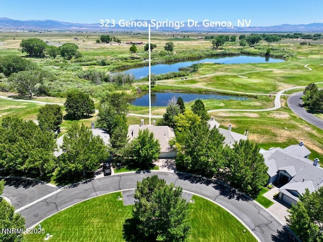323 Genoa Springs Dr, Genoa, NV 89411 - photo 35