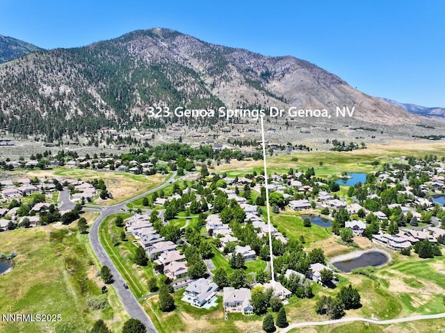 323 Genoa Springs Dr, Genoa, NV 89411 - photo 36