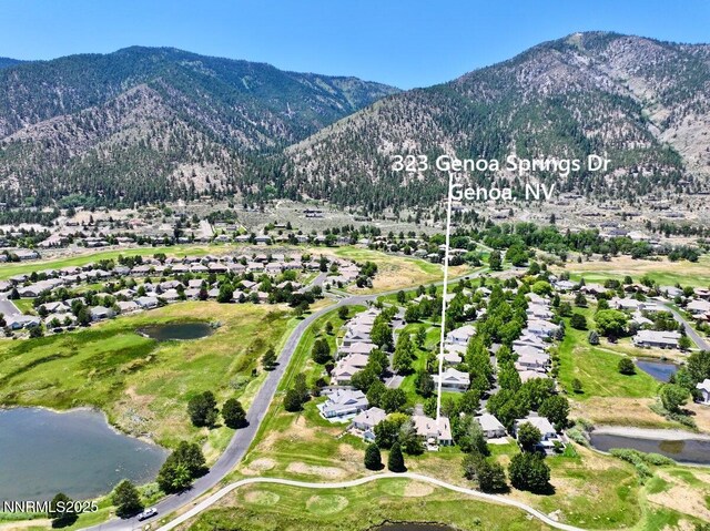 323 Genoa Springs Dr, Genoa, NV 89411 - photo 37