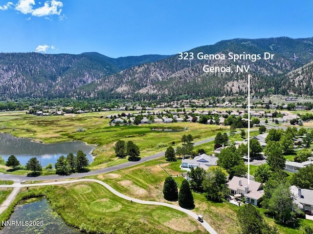 323 Genoa Springs Dr, Genoa, NV 89411 - photo 38