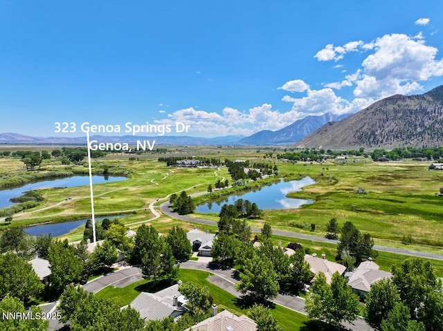 323 Genoa Springs Dr, Genoa, NV 89411 - photo 39