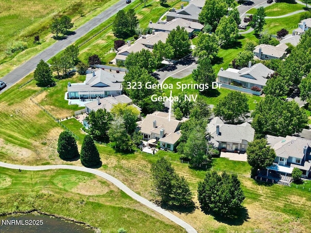 323 Genoa Springs Dr, Genoa, NV 89411 - photo 41