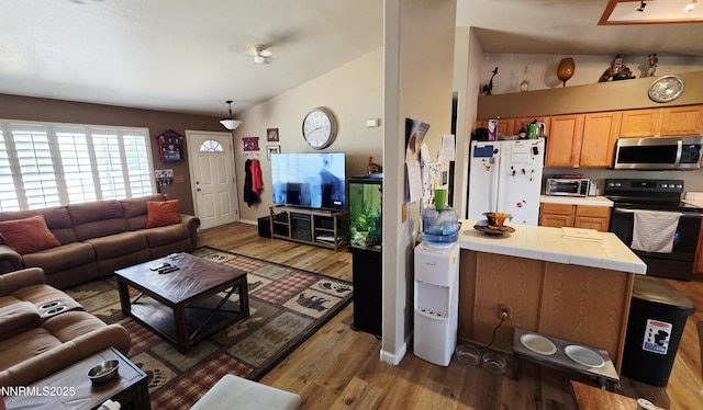 654 Keddie St, Fallon, NV 89406 - living area with vaulted ceiling and wood finished floors