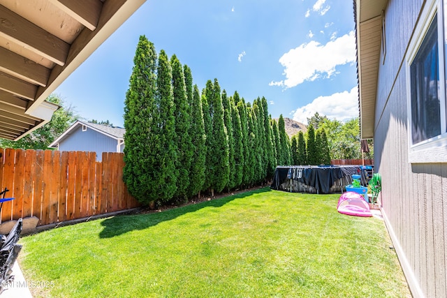 4130 Snowshoe Ln, Reno, NV 89502 - view of yard