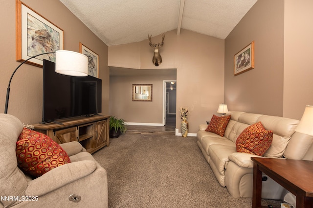 4130 Snowshoe Ln, Reno, NV 89502 - living room with carpet and a textured ceiling