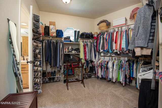 1533 Alba Vis, Gardnerville, NV 89410