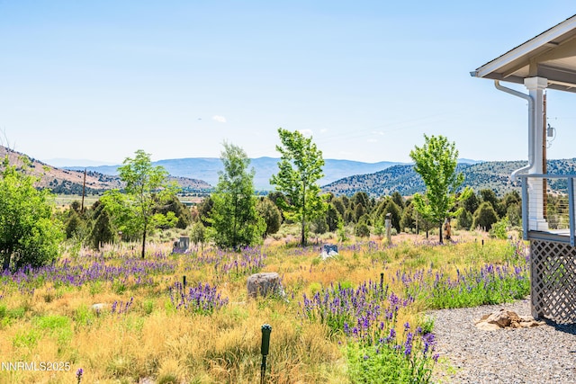 1533 Alba Vis, Gardnerville, NV 89410