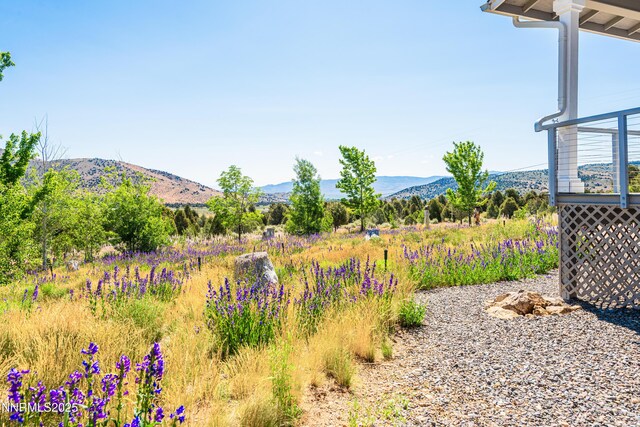 1533 Alba Vis, Gardnerville, NV 89410