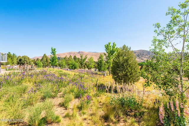 1533 Alba Vis, Gardnerville, NV 89410