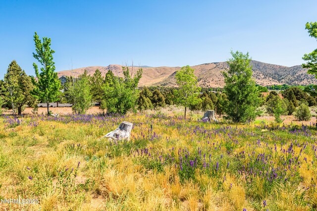 1533 Alba Vis, Gardnerville, NV 89410