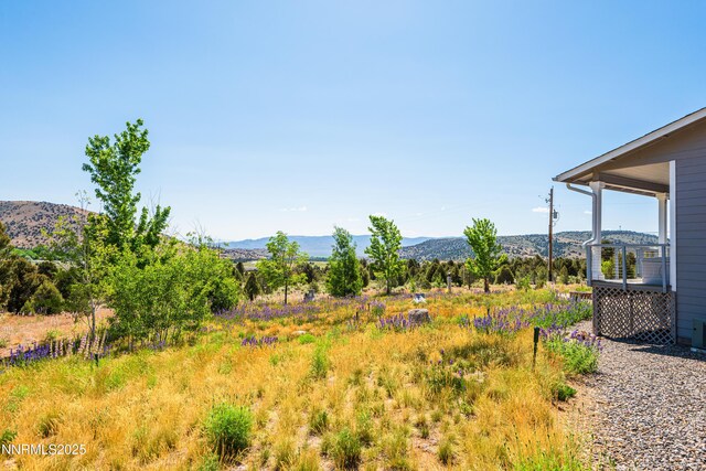 1533 Alba Vis, Gardnerville, NV 89410