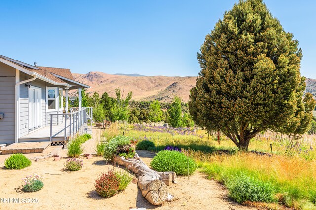 1533 Alba Vis, Gardnerville, NV 89410