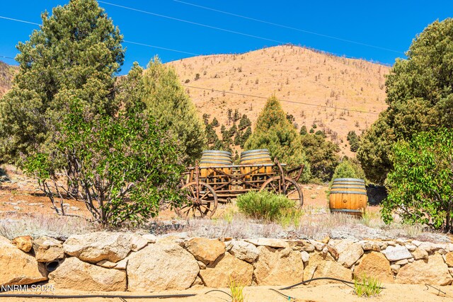 1533 Alba Vis, Gardnerville, NV 89410