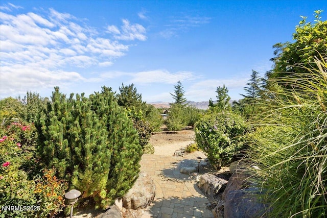 1555 Boulder Field Way, Reno, NV 89511 - view of nature with a mountain backdrop