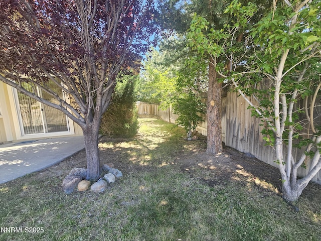 2735 Avenida De Landa, Reno, NV 89523 - fenced backyard with a patio area