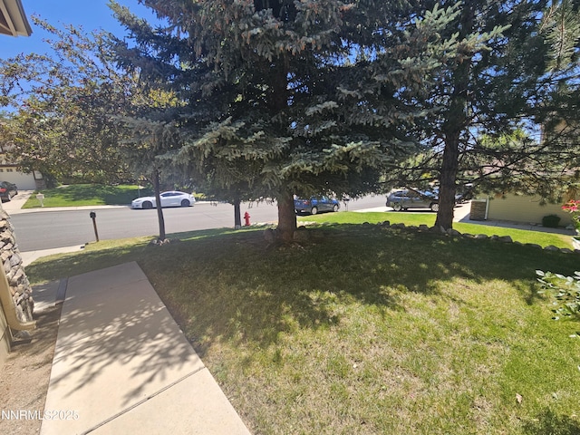 2735 Avenida De Landa, Reno, NV 89523 - view of green lawn