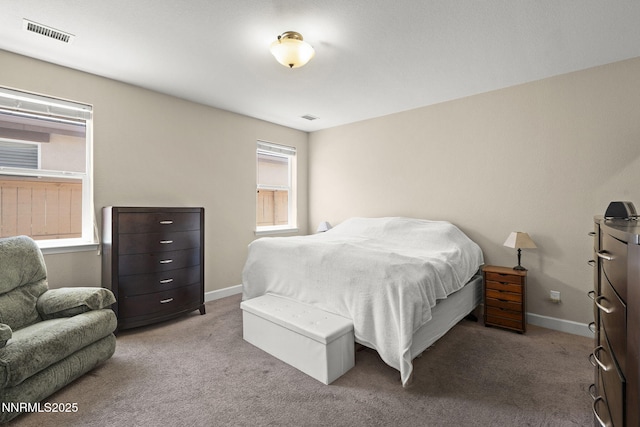 10125 Mesa Cortona Dr, Reno, NV 89521 - carpeted bedroom with baseboards